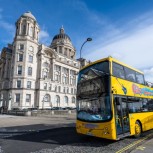 Sightseeing Bus