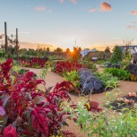 Garden Wisley