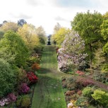 Garden Wisley