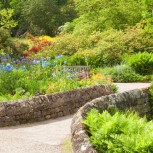 Garden Harlow Carr