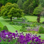 Garden Harlow Carr