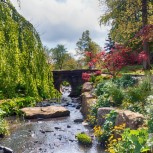 Garden Harlow Carr