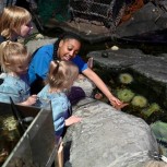 National SEA LIFE Centre Birmingham