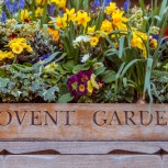Covent Garden