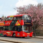 Edinburgh Tour