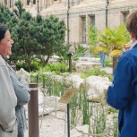 The Natural History Museum Walking Tour