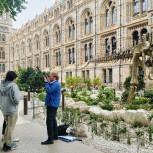 The Natural History Museum Walking Tour