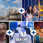 Pass pour les attractions Merlin London