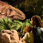 Jurassic World: The Experience