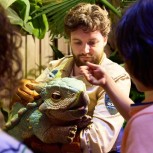 Jurassic World: The Experience