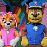 Chase and Skye PAW Patrrol