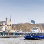 River Thames Sightseeing