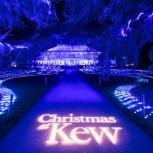 Christmas at Kew