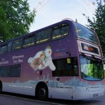 The Snowman Official Afternoon Tea Bus Tour
