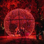 Christmas in Chelsea