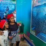 Snowy’s Conservation Crew