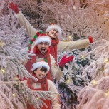 Winters Tail & Christmas Village