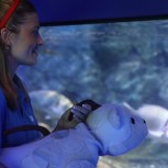 Storytime with Al the Polar Bear