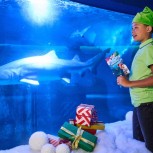 Snowy’s Conservation Crew