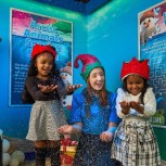 Snowy’s Conservation Crew