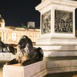The Lions at Nelson's Column