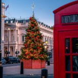 Christmas tree and a traditional Red telephone box