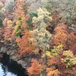 Near Pitlochry - autumn photo