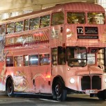 Christmas Lights Singalong