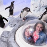 SeaLife London Aquarium