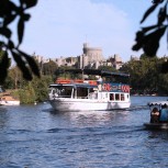 French Brothers Windsor