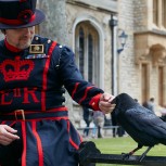 Royal London, Tower of London & Hever Castle Private Tour
