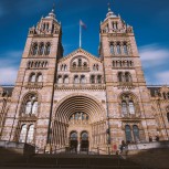 The Natural History Museum