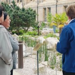 The Natural History Museum Guided Tour
