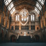 The Natural History Museum Guided Tour