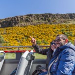 Hop-on Hop-off Edinburgh Bus Tour