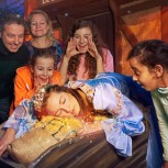 Shrek Sleeping Beauty