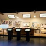 Game of Thrones Studio Tour