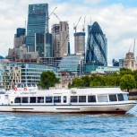 Sightseeing Cruise on the Thames