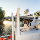 Alive After Five Cruise