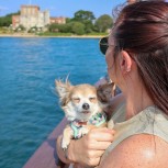 Poole Harbour Cruise