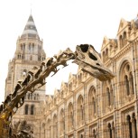 Natural History Museum