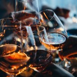 Wine Tasting London Bus Tour