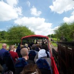 Hop-on Hop-off Bus Tour Belfast