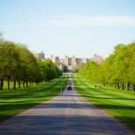 Buckingham Palace and Windsor Castle Tour