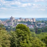 Buckingham Palace and Windsor Castle Tour