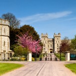 Buckingham Palace and Windsor Castle Tour