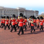 Half Day London Sightseeing Tour