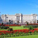 Half Day London Sightseeing Tour