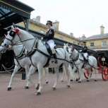 Buckingham Palace Tickets and Royal Mews