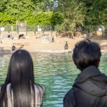 London Zoo